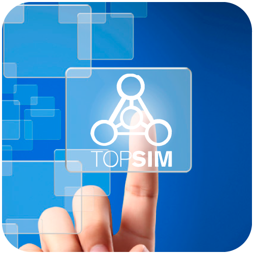 g)-topsim-marketing